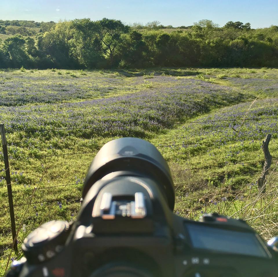 17862424_1767718639908873_3566209370337698419_n