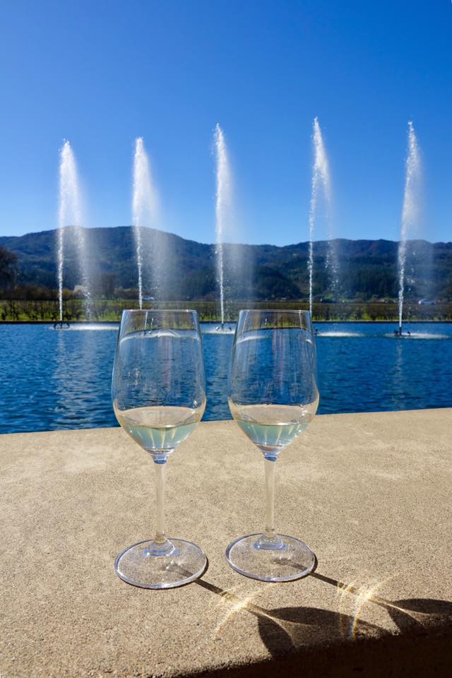 27867936_2218671868146879_4244126532565478020_n