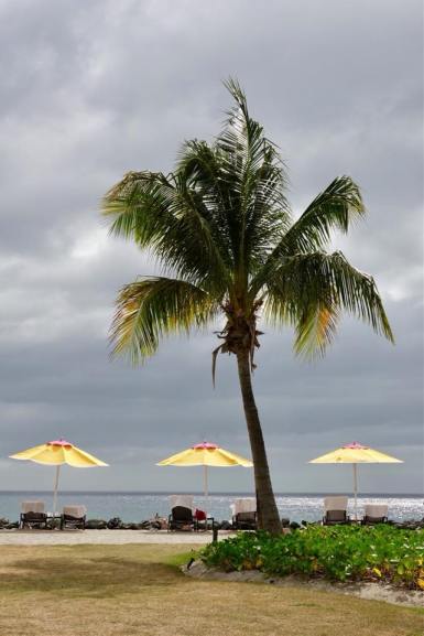 36525250_10113310562428074_6712625277639327744_n