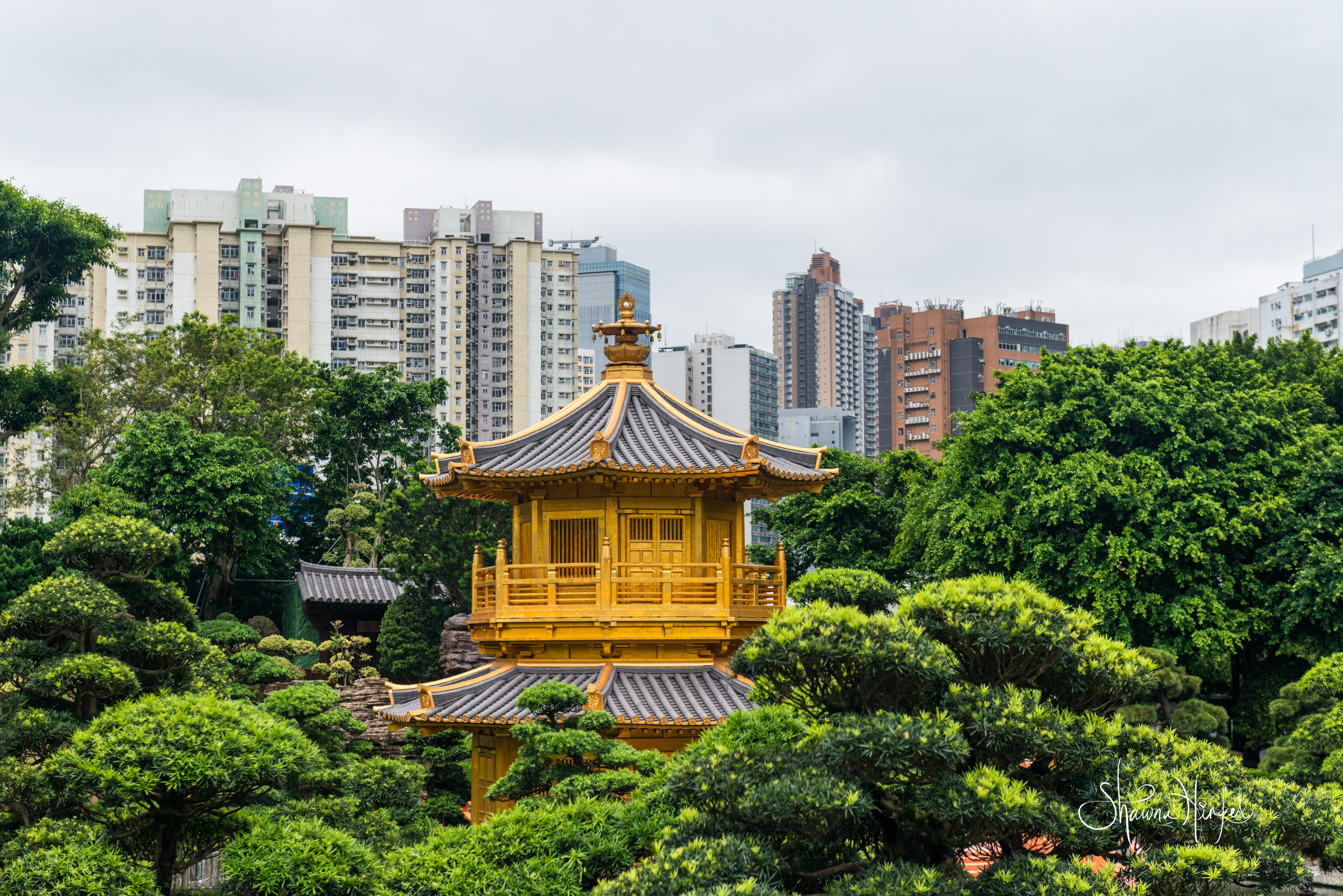 Tradition Meets Modern